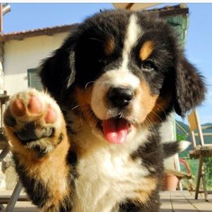 Meet your Posher, Christian